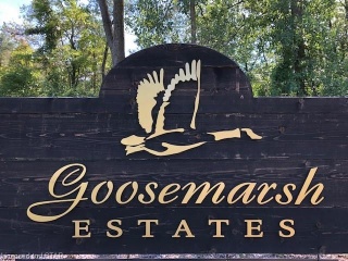 LT 12 GOOSEMARSH Line, Lambton Shores Ontario, Canada