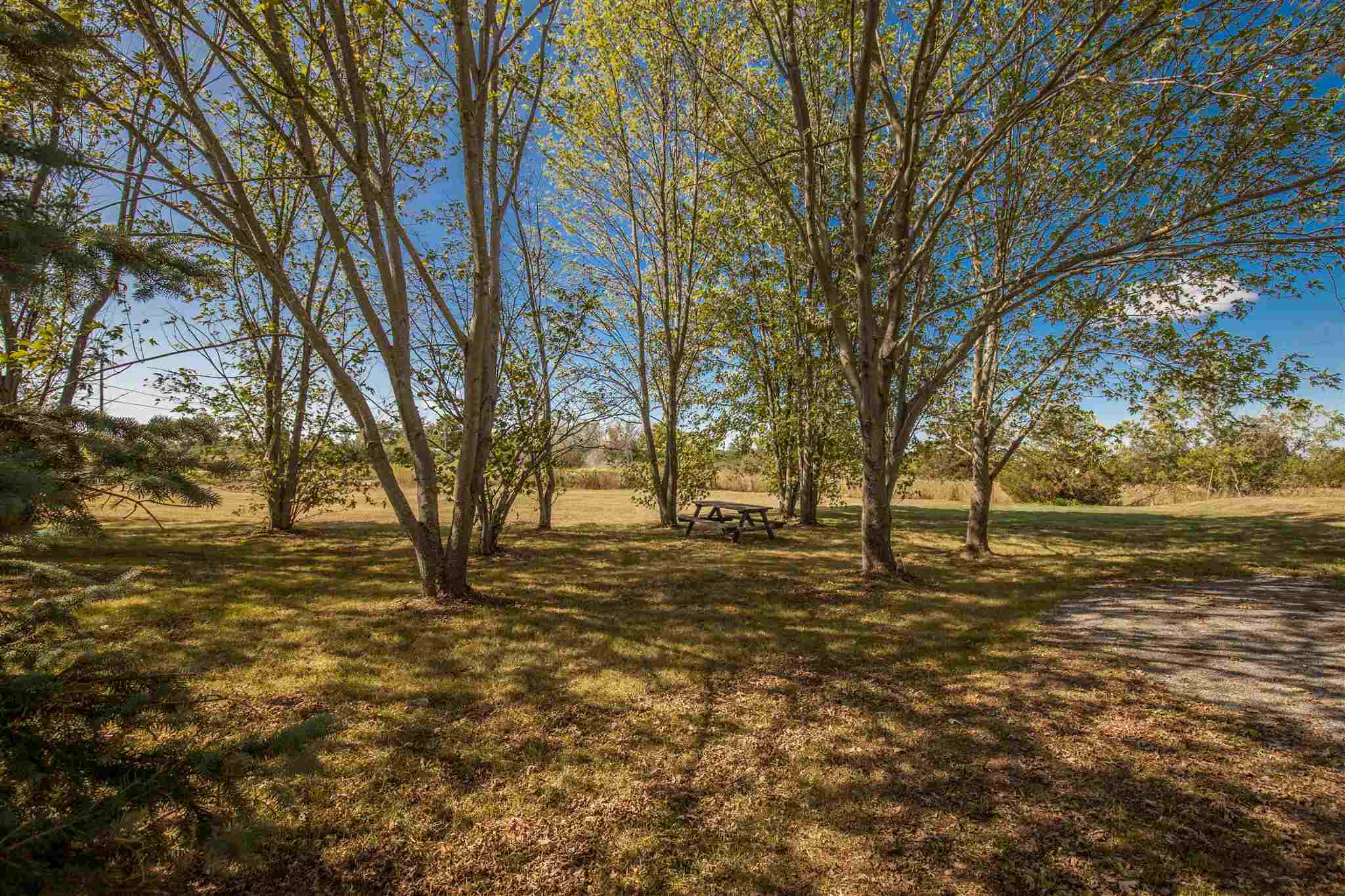 995 BETHEL Road, Stone Mills Ontario, Canada