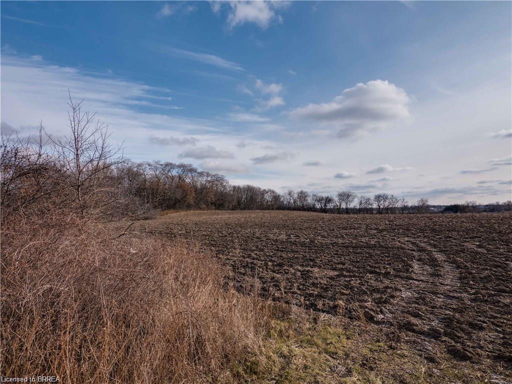 42 JOHNSON Road, Brantford, Ontario, Canada