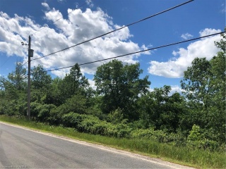 MAPLE Road, Loyalist Township Ontario, Canada