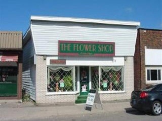 179 Gore Street, Sault Ste. Marie Ontario, Canada