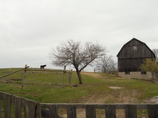 14716 HIGHWAY 62, Madoc, Ontario, Canada