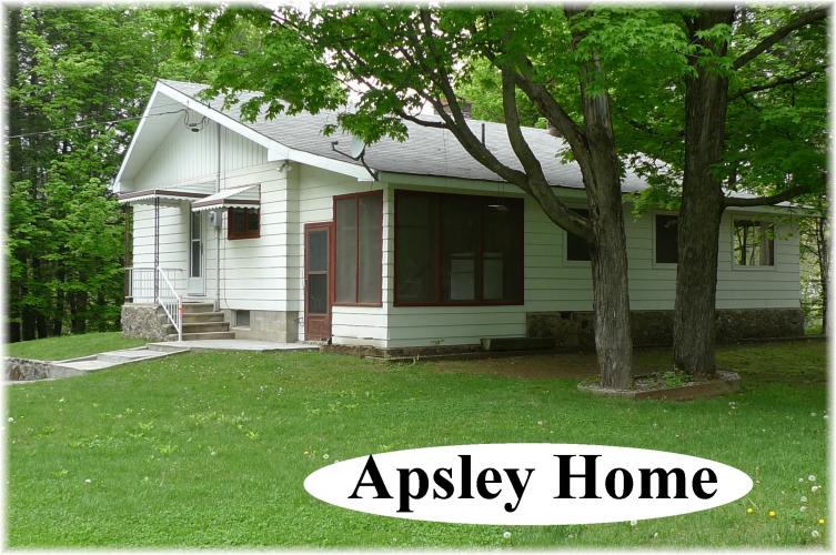 49 mcfadden road, Apsley Ontario, Canada