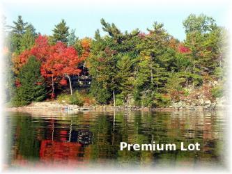 225 gazelle trail, Apsley Ontario, Canada
