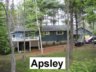 97 mcfadden road, Apsley Ontario, Canada