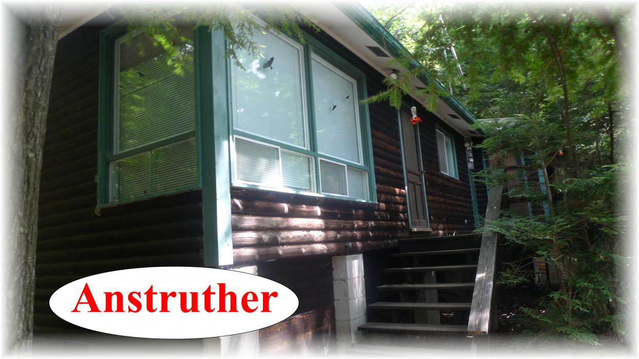 503  anstruther lake, Apsley Ontario, Canada