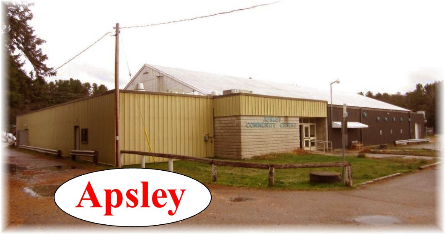 335 mcfadden road, Apsley Ontario, Canada