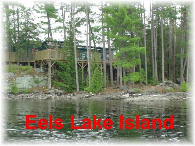 134 eels ridpath island, Apsley Ontario, Canada