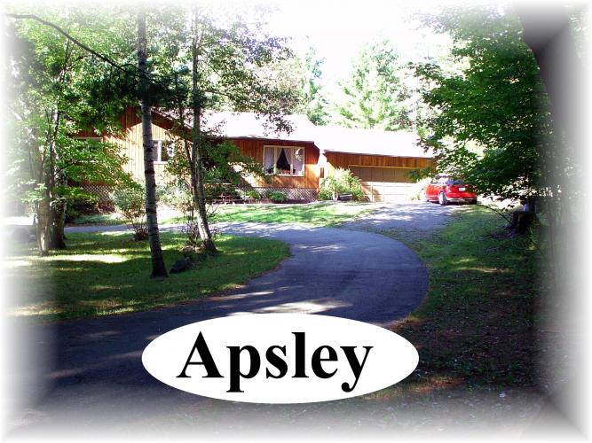 283 mcfadden road, Apsley Ontario, Canada