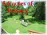 740 County Road 504, Apsley Ontario