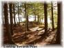 183 Woods Bay Road, Apsley Ontario