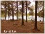 183 Woods Bay Road, Apsley Ontario