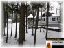 Fitch Lane, Apsley Ontario