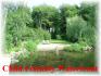 370 Walkes Road Chandos Lake, Apsley Ontario