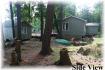 65 Island #10, Apsley Ontario