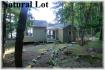 65 Island #10, Apsley Ontario