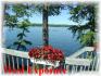 21 Martin Lane, Apsley Ontario