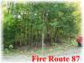 fire route 87, Apsley Ontario, Canada