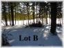Bluebird Lane, Apsley Ontario
