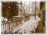 Raven Lane, Apsley Ontario