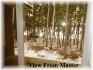 Maple Lane, Apsley Ontario