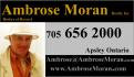 451 White Tail Drive, Apsley Ontario