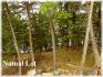 8 Bear Run Jack Lake Estates, Apsley Ontario