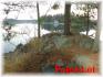 473 Fire Route 89, Apsley Ontario