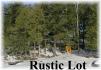 Fire Route 52a, Apsley Ontario