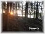 Fire Route 50 Sharpes Bay, Apsley Ontario