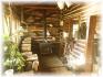 139 Spence Road, Apsley Ontario