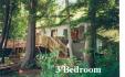 507 Knox Point Road, Apsley Ontario