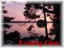 720 Renwick Road, Apsley Ontario