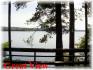 720 Renwick Road, Apsley Ontario