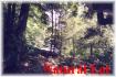 720 Renwick Road, Apsley Ontario
