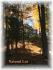 2 Antler Trail, Apsley Ontario