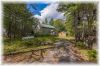 Fire Route 85, Apsley Ontario