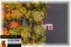 446 Renwick Road, Apsley Ontario