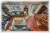 446 Renwick Road, Apsley Ontario