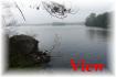 68 Fire Route 87b, Apsley Ontario