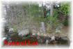 68 Fire Route 87b, Apsley Ontario