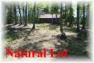 531 Island 16, Apsley Ontario