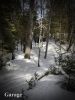 44 Lakeshore, Apsley Ontario