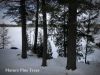 44 Lakeshore, Apsley Ontario