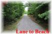 85 Pipit Lane, Apsley Ontario