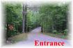 85 Pipit Lane, Apsley Ontario