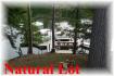 1391 Fr 89, Apsley Ontario