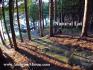 Jack's Lake, Apsley Ontario