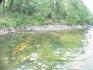 454 Renwick Road Chandos Lake, Apsley Ontario