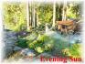 146 Bayshore Rd, Apsley Ontario